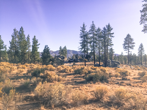 Redonda Ridge Planning-31