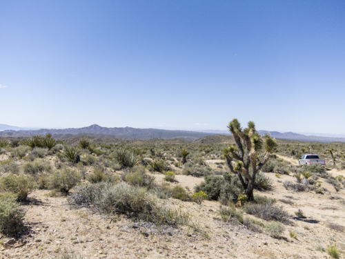 MojaveTrail_119