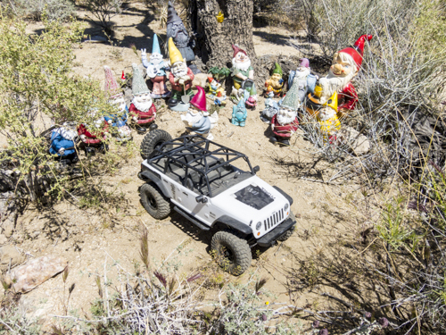 MojaveTrail_124