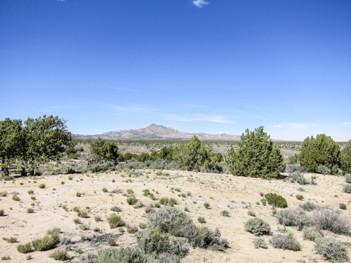 MojaveTrail_087