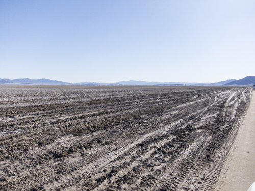 MojaveTrail_155
