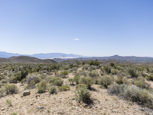 MojaveTrail_118