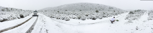 Cannondale_Goose_Berry_Snow_003