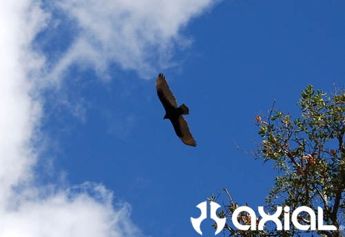 awccq-wohlford-2-297