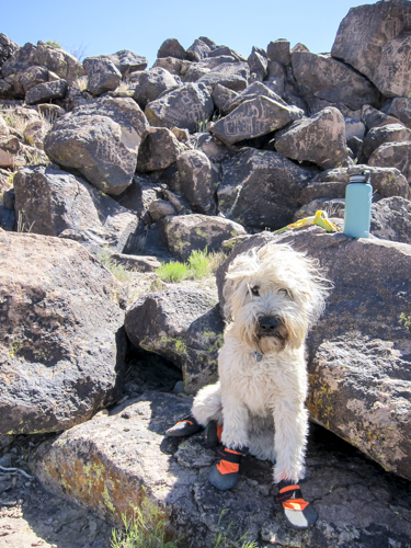 MojaveTrail_044