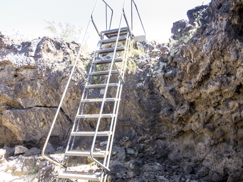 MojaveTrail_143