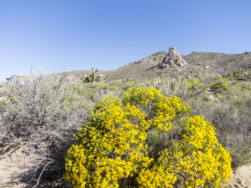 MojaveTrail_105