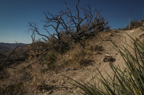 Redonda Ridge Planning-85