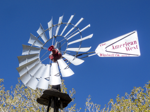 MojaveTrail_093