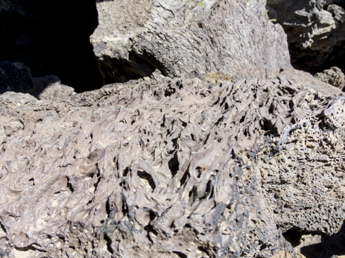 MojaveTrail_144