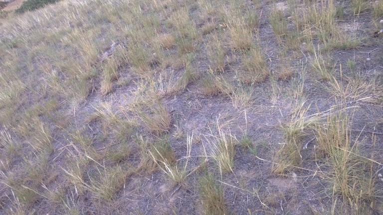 WP_20130710_001