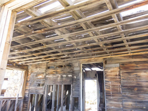 MojaveTrail_067