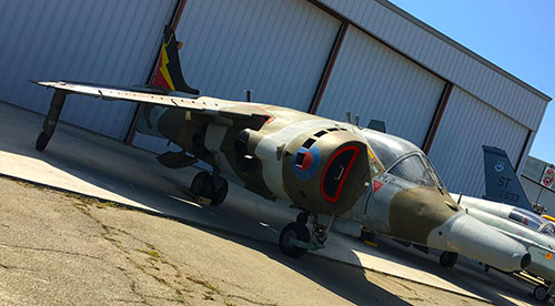 Harrier_1