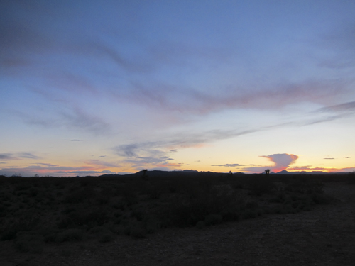 MojaveTrail_031