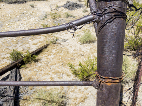 MojaveTrail_116