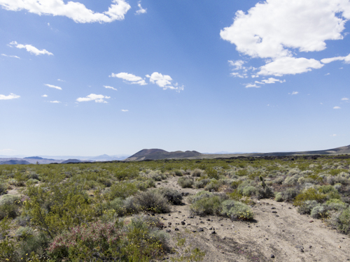MojaveTrail_134