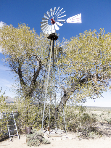 MojaveTrail_092