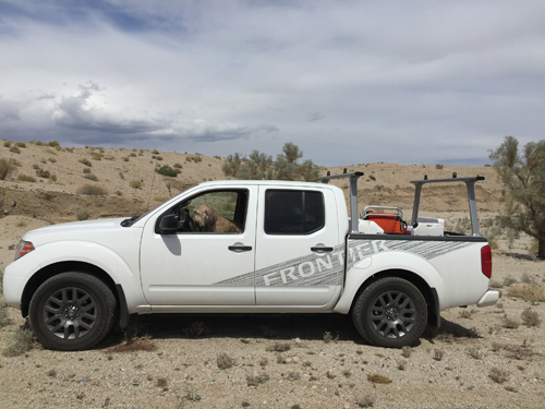And while Mike is getting is F-150 towed off the ledge Phoebe is ready for more, even if she has to drive. 
