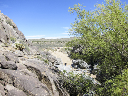 MojaveTrail_073