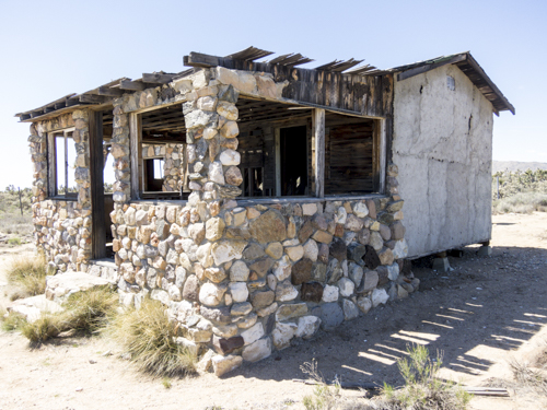 MojaveTrail_066
