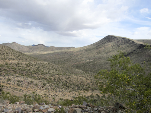 MojaveTrail_018