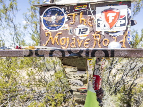 MojaveTrail_131