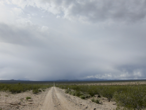MojaveTrail_019