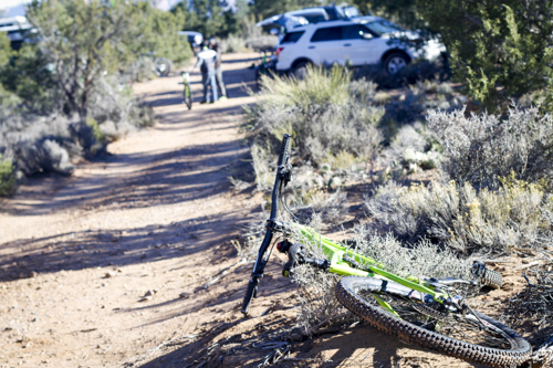Cannondale_Goose_Berry_120