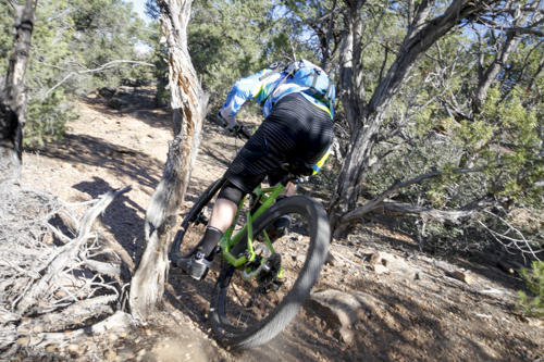 Cannondale_Goose_Berry_158