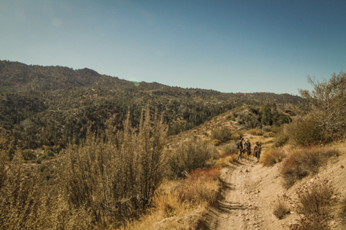Redonda Ridge Planning-45