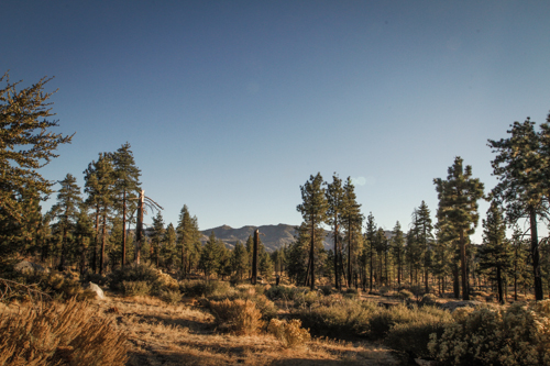 Redonda Ridge Planning-24