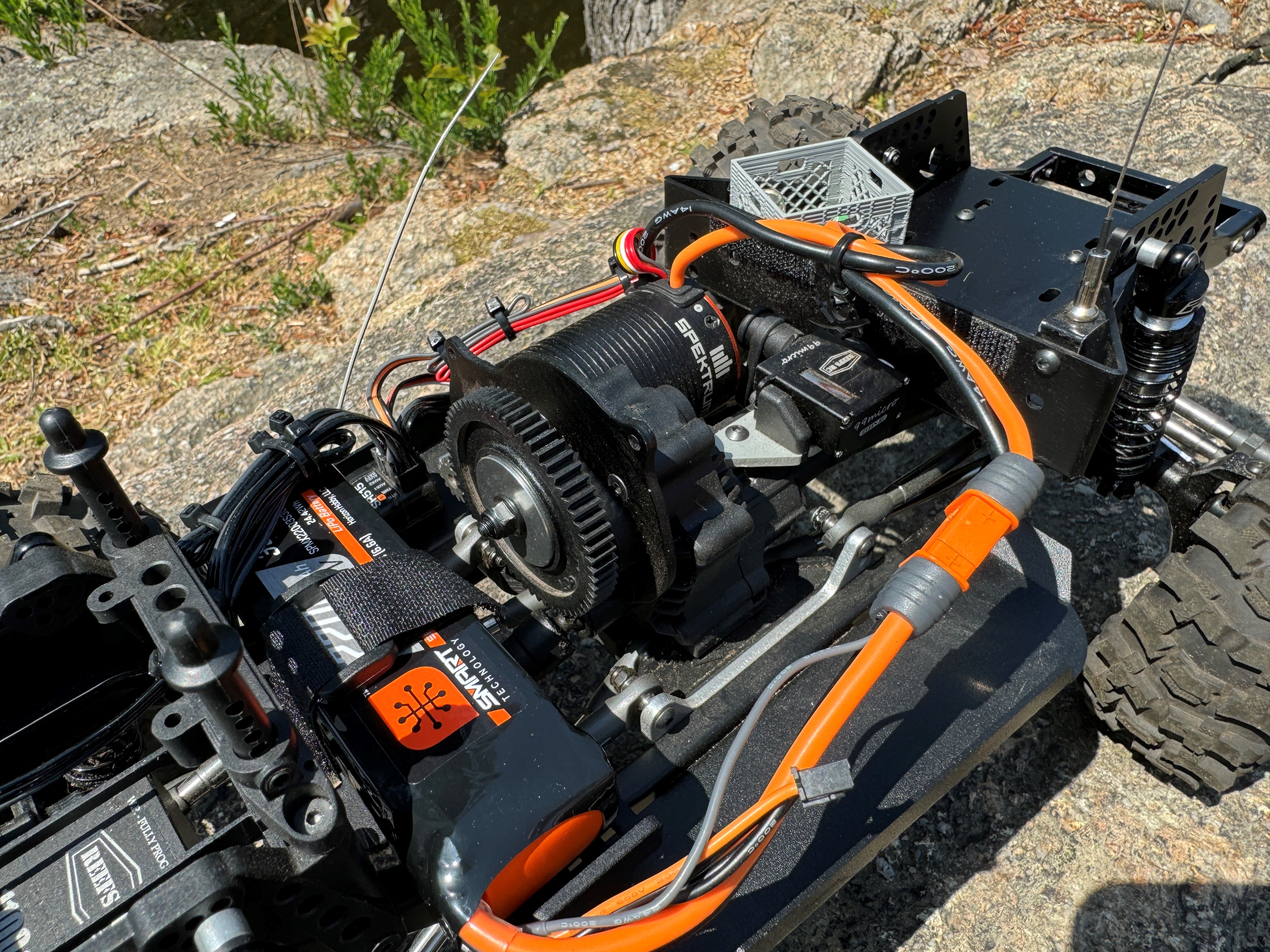The Beast The Beast